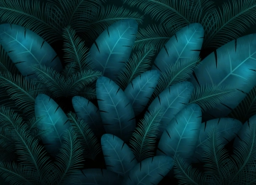 叶夜绿影  6000x4000