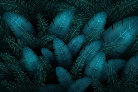 叶夜绿影 6000x4000