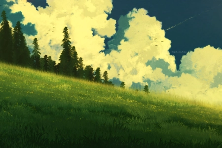 自然 田野 松树 云 鸟类 4K壁纸 3840x2160