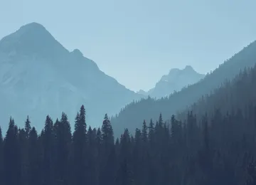 森林 山脉 风景 树木 自然 4K壁纸  5040x3359
