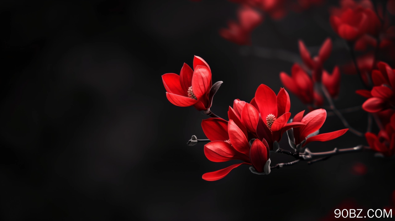 AI艺术 花 黑色 红色 景深 电脑壁纸 4K壁纸