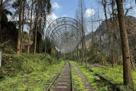 铁路 自然 管道 树木 草 电脑壁纸 4K壁纸 4032x3024