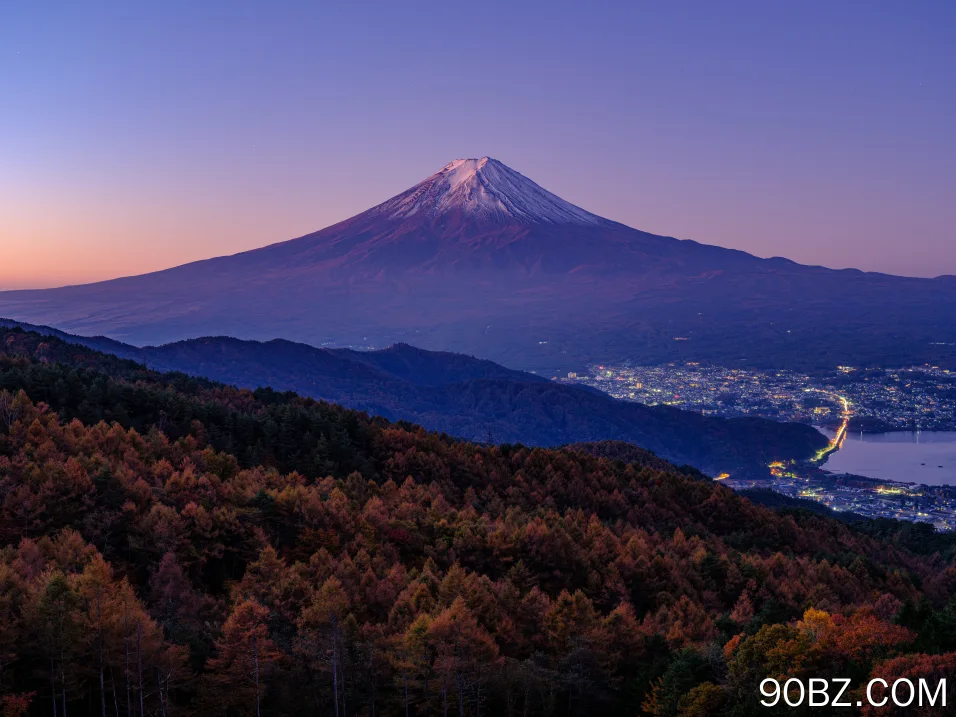 自然 风景 天空 晴朗 城镇 灯光 远景 树木 森林 夕阳 4K壁纸