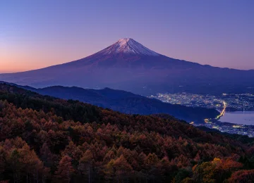自然 风景 天空 晴朗 城镇 灯光 远景 树木 森林 夕阳 4K壁纸  6144x4608