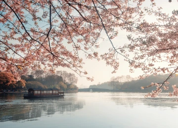 春天 湖畔 樱花 游船 湖泊 水面 倒影 4K壁纸  3840x2160