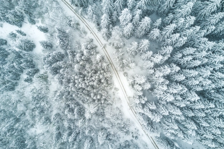 自然 树木 雪 道路 白色 森林 电脑壁纸 4K壁纸 3992x2992