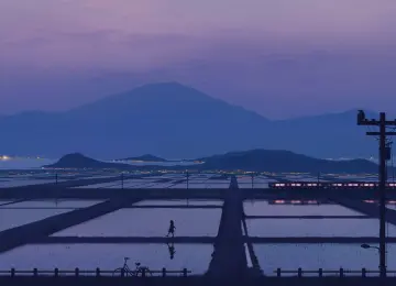 数字艺术 插图 绘画 风景 自然 山脉 电线杆 稻田 火车 倒影 蓝色 4K壁纸  3840x2160