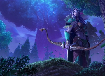 电子游戏 角色 魔兽争霸 暴雪娱乐 暗夜精灵 兽耳  电脑壁纸 4K壁纸  4256x2160