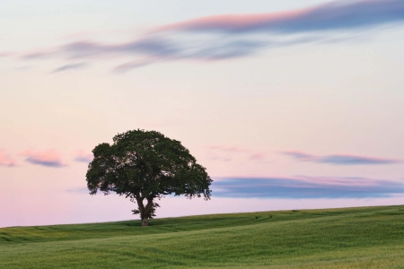 苏格兰 自然 风景 云 日落 田野 树木 天空 简单背景  电脑壁纸 4K壁纸 5240x3912