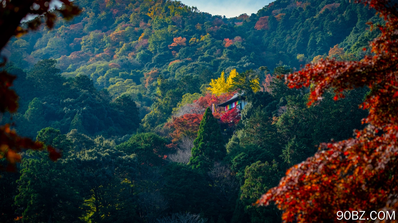 自然 寺庙 山脉 树木 树叶 秋天 森林 4K壁纸
