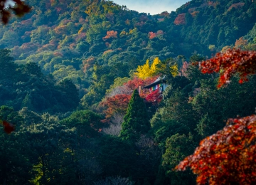 自然 寺庙 山脉 树木 树叶 秋天 森林 4K壁纸  5120x2880