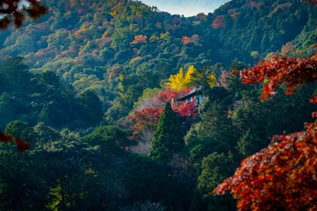 自然 寺庙 山脉 树木 树叶 秋天 森林 4K壁纸 5120x2880