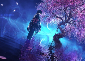 和服 花瓣 倒影 树木 黑发 回顾 极简主义 电脑壁纸 4K壁纸  6000x2772