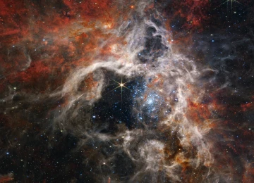太空 望远镜 科学 红外 太空 恒星 狼蛛 星云  电脑壁纸 4K壁纸  3840x2160