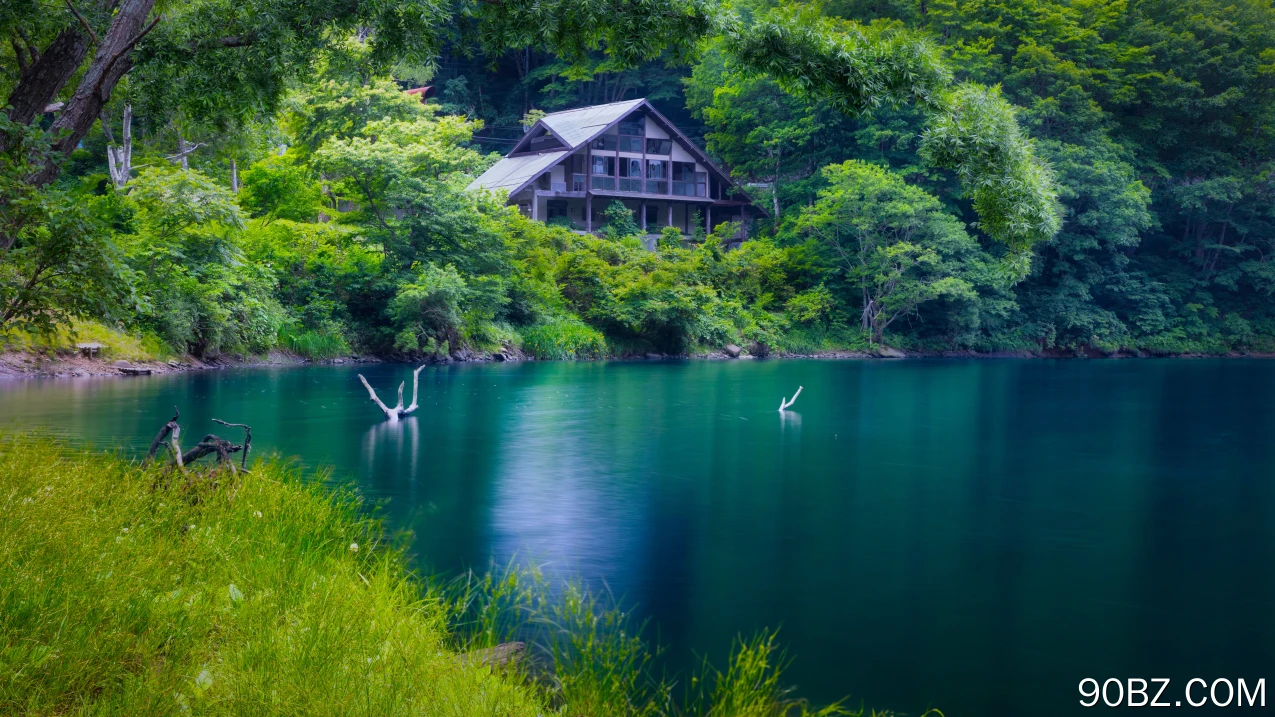 自然 景观 树木 植物 河流 木材 水 湖泊 废墟 废弃 森林 树叶 4K壁纸