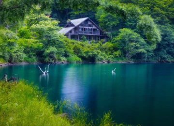 自然 景观 树木 植物 河流 木材 水 湖泊 废墟 废弃 森林 树叶 4K壁纸  5120x2880