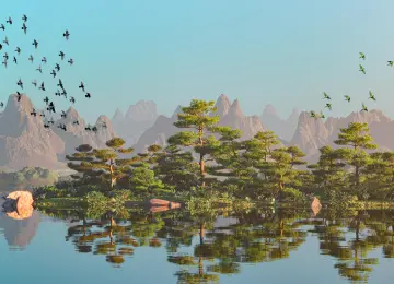 山 湖 树 鸟 4K壁纸  3840x2160