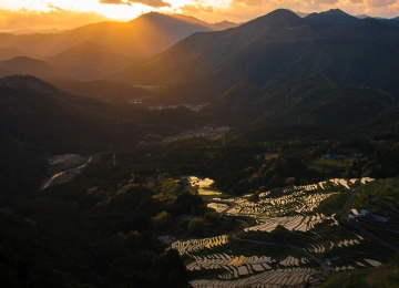 自然 风景 天空 山脉 树木 森林 城镇 农场 远景 电线 弱光 稻田 夕阳 阳光 4K壁纸  5120x2880