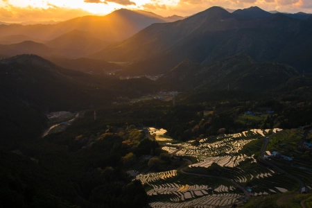 自然 风景 天空 山脉 树木 森林 城镇 农场 远景 电线 弱光 稻田 夕阳 阳光 4K壁纸 5120x2880