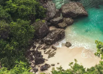 树木 岩石 植物 海洋 岛屿 森林 绿松石 自然 海滩 4K壁纸  6000x4000