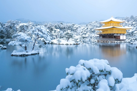 京都 金阁寺 冬季 自然 湖泊 雪 亚洲 水 寒冷 冰 建筑 树木  6865x3861