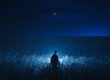 数字艺术 夜 农场 蓝光 田野 地平线 手机壁纸 4K壁纸  4000x4000