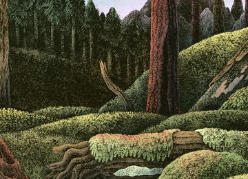 林间木色  3840x2400