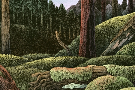 林间木色 3840x2400