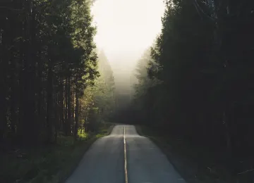 道路 沥青 树木 公路 森林公路 雾 4K壁纸  5120x2880