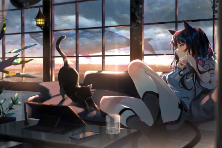 猫女孩 原创人物 黑发 动漫女孩 黑猫 房间 窗户  电脑壁纸 4K壁纸 4096x2304