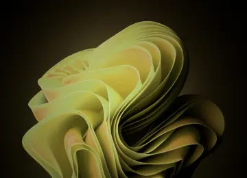  黄色 极端主义 简单背景 简约 线条 电脑壁纸 4K壁纸  3840x2400