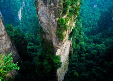 森林 中国 悬崖 山 绿色 夏天 国家 公园 自然 景观 鸟瞰图  电脑壁纸 4K壁纸  4112x2731