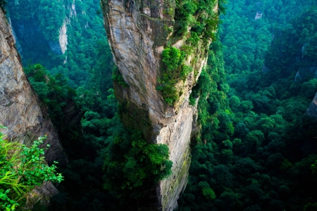 森林 中国 悬崖 山 绿色 夏天 国家 公园 自然 景观 鸟瞰图  电脑壁纸 4K壁纸 4112x2731