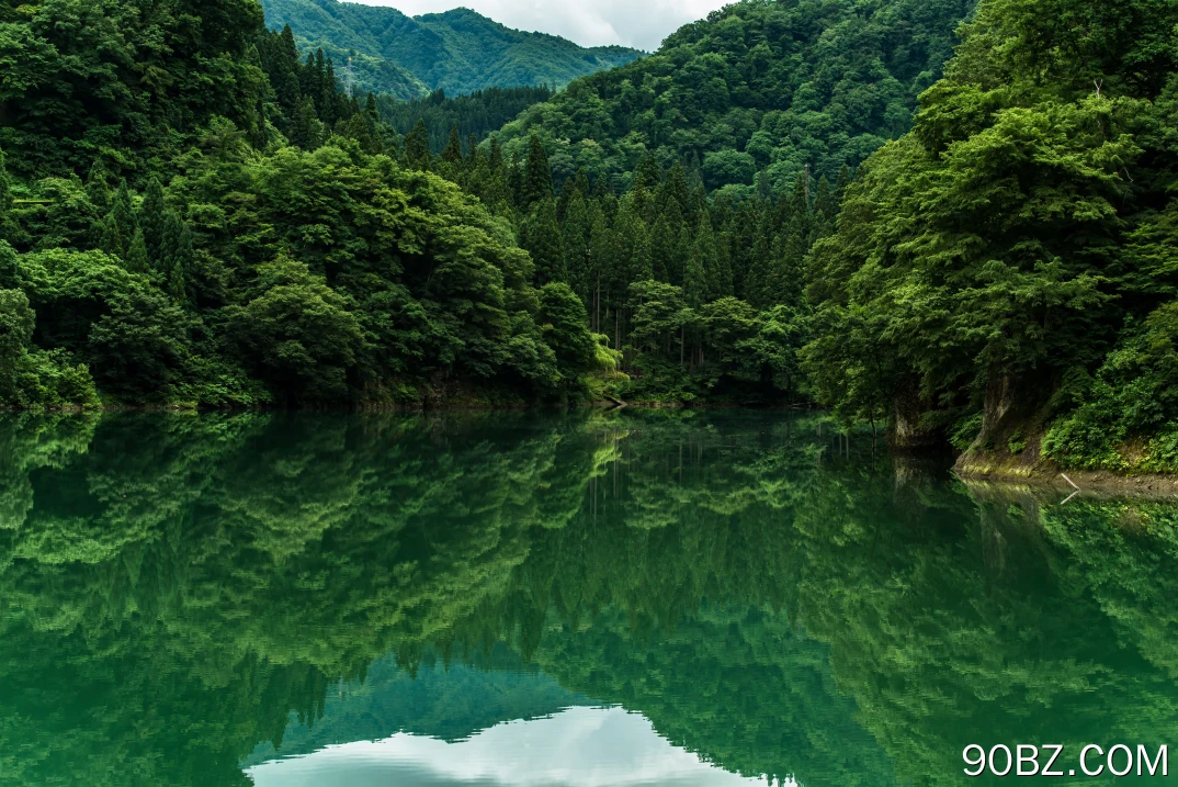 树 山 水 湖 4K壁纸