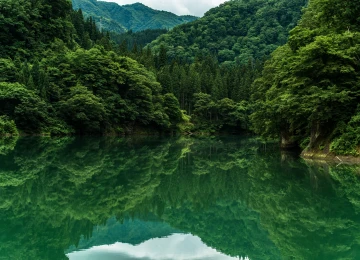 树 山 水 湖 4K壁纸  4000x2670
