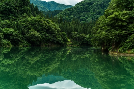 树 山 水 湖 4K壁纸 4000x2670