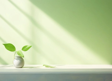 护眼 清新 绿植 窗台 阳光 背景 4K壁纸  3840x2160