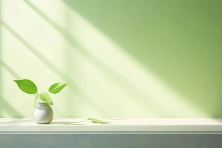 护眼 清新 绿植 窗台 阳光 背景 4K壁纸 3840x2160