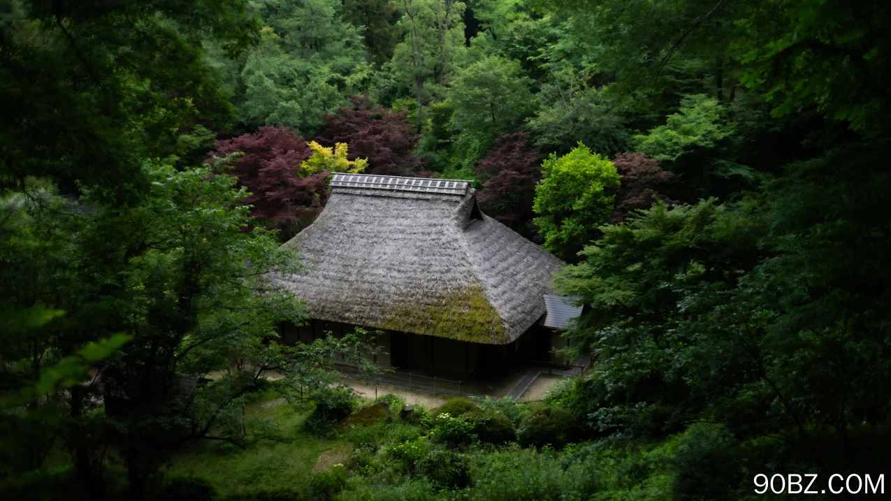 自然 景观 树木 植物 草 树叶 长枝 亚洲建筑 博物馆 4K壁纸