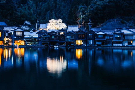  倒置 水 反射 夜间 建筑 灯光 树木  电脑壁纸 4K壁纸 4765x3182