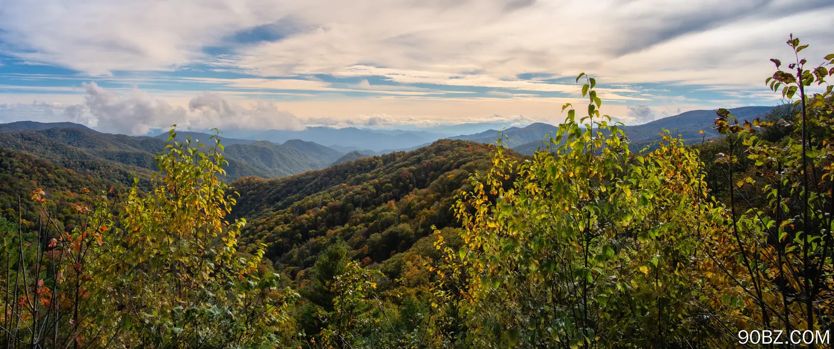 云 森林 自然 景观 山脉 山景 树木 4K壁纸