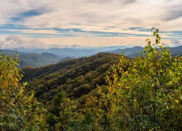 云 森林 自然 景观 山脉 山景 树木 4K壁纸  5595x2343