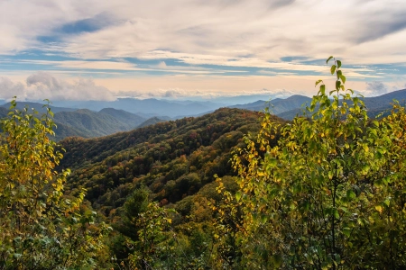 云 森林 自然 景观 山脉 山景 树木 4K壁纸 5595x2343