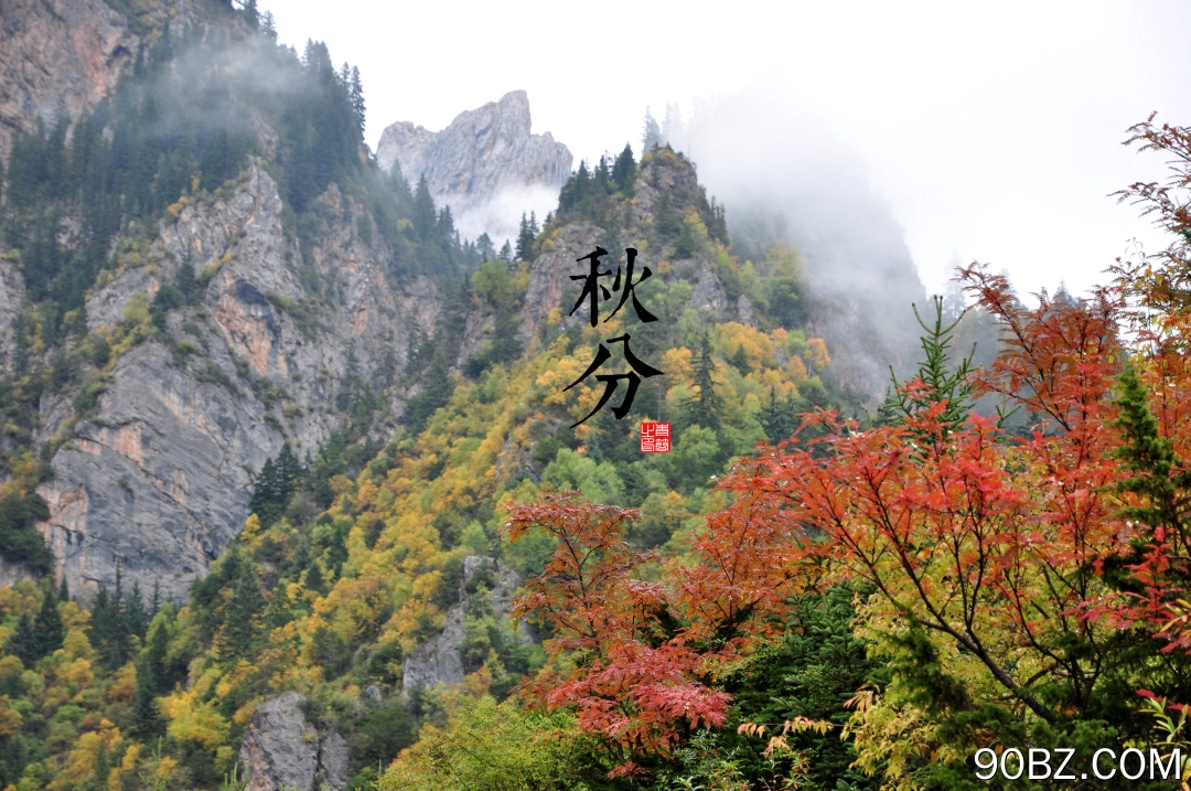 山 自然 秋天 岩石 树木  电脑壁纸 4K壁纸