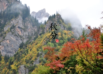 山 自然 秋天 岩石 树木  电脑壁纸 4K壁纸  4288x2848