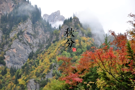 山 自然 秋天 岩石 树木  电脑壁纸 4K壁纸 4288x2848
