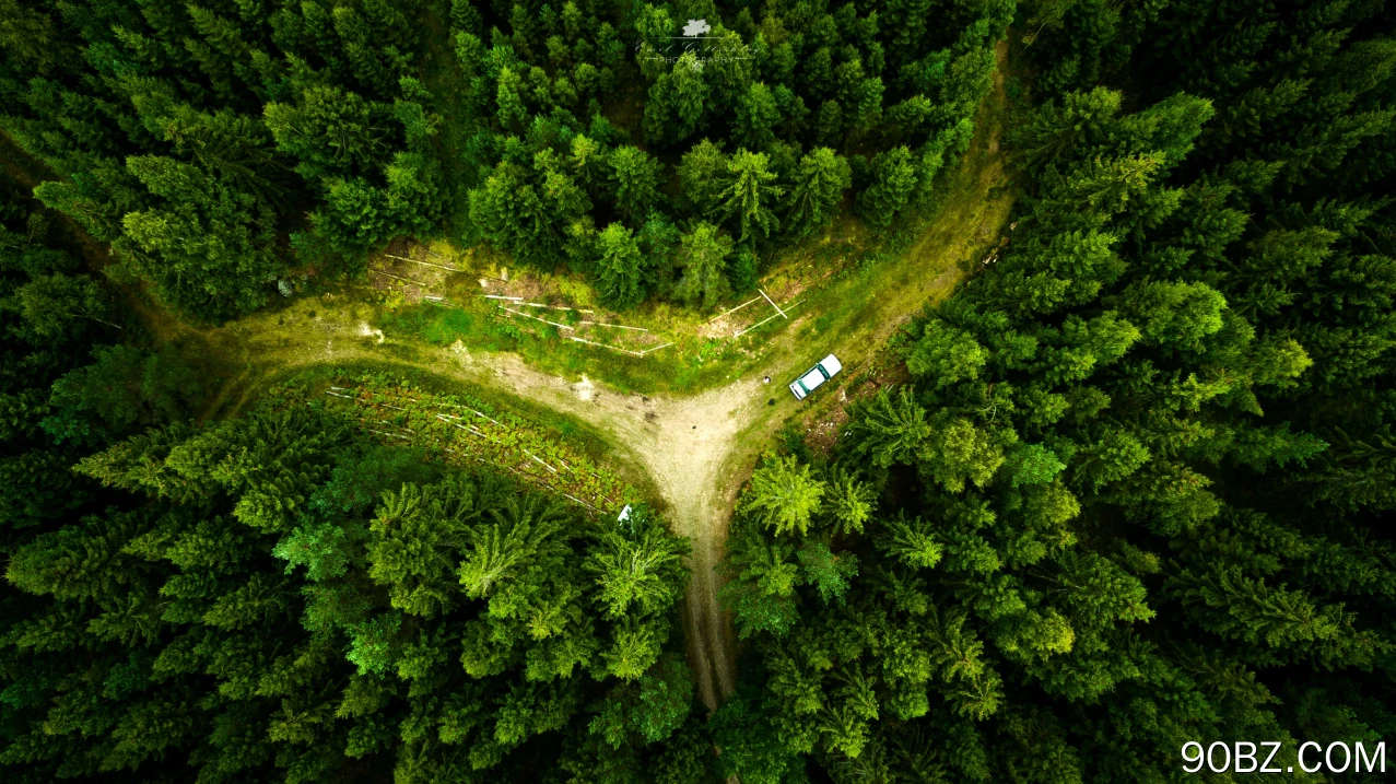 无人机 风景 自然 鸟瞰 森林 绿色 电脑壁纸 4K壁纸