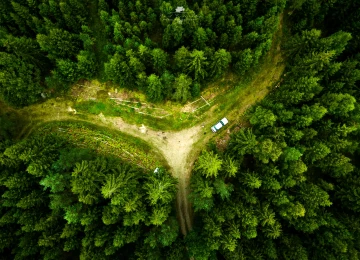 无人机 风景 自然 鸟瞰 森林 绿色 电脑壁纸 4K壁纸  3992x2242