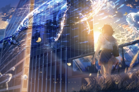 女学生 散步 动漫 动漫女孩 校服 日落 夕阳辉光 鲸鱼 水 天空 云 裙子 动物 水母 鱼 包 花  电脑壁纸 4K壁纸 4616x2940