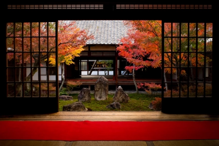 秋水禅心 4096x2386